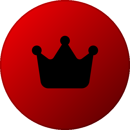 • Chief Executive Officer